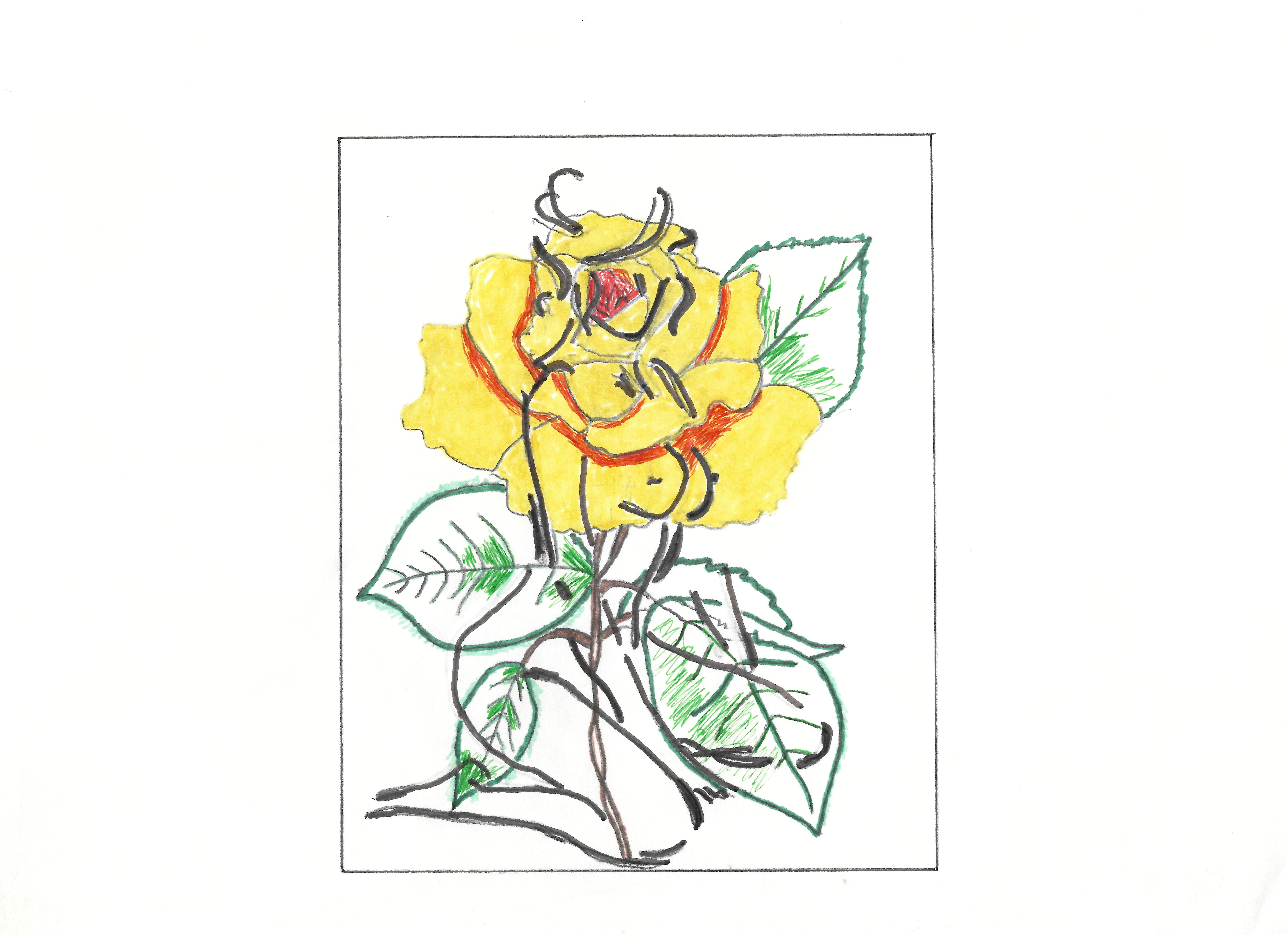 Artwork by Bruce Ross